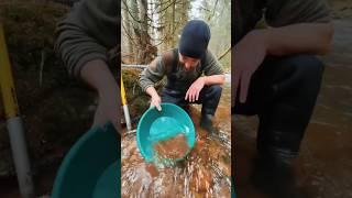 Как найти золото в реке #золотоискательство #золотото #золото  #поиск золота #геология