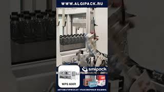 Алджипак автомат WPS 600R транспортная упаковка воды в бутылках 0,5 л в картонный короб #shorts
