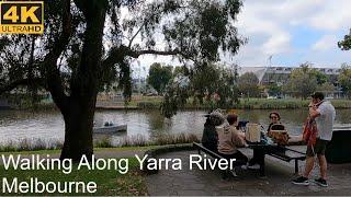 Walking Along The Yarra River | Melbourne Australia