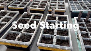 Hundred Days of Homesteading Day 21 - Seed Starting