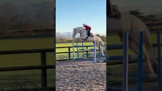 He still jumps it like a pole says Ivy ! #horse #showjumping #equestrian #horseriding #horsegirl