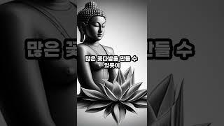 사람으로 태어났을 때 #부처님 #부처님말씀 #진리의말씀 #진리 #인생