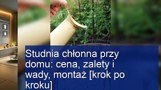 Studnia chłonna przy domu: cena, zalety i wady, montaż [krok po kroku]