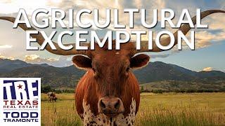 What Should I do if I Need an Agricultural Exemption? | Texas Real Estate Radio Excerpt