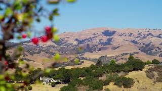 58 Calera Canyon, Salinas, Ca 93908, Corral De Tierra Real Estate, Grace Merritt Realtor