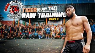 Raw Training at Tiger Muay Thai (Part 1)