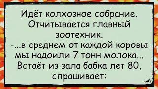  Как зоотехник на собрании колхоза отчитался анекдоты юмор смех