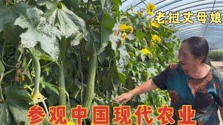 Lao mother-in-law visited China's modern agricultural greenhouse and looked at her own food immedia