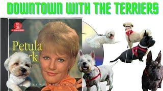 Downtown with Petula Clark & The Terriers | Thorpeman