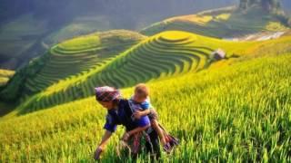 Sapa Vietnam Travel 25 - Sapa vietnam tours 25 - Dongs travel