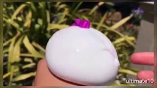 Most Satisfying Relaxing Video, Bikin Rileks dan Menenangkan