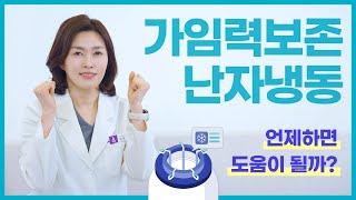 가임력 보존과 난자동결