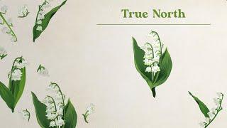 Caroline Spence - True North (Lyric Video)