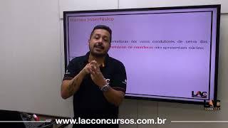 AULA 13583 | Biologia - Núcleo Interfásico | |