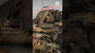 Раки.Сакраменто,Калифорния США