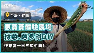 【台灣旅遊攻略】宜蘭拔三星蔥體驗手作蔥多餅！來蔥寶寶體驗農場成為一日蔥農｜KKday