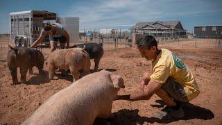 Tour of Edge of Nowhere Farm | PARAGRAPHIC Origins