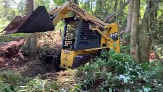 Construction - Clearing Land for New Lot