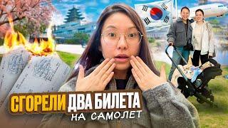 ПОЕЗДКА В КОРЕЮ ЧУТЬ НЕ СОРВАЛАСЬ! ПОТЕРЯЛА ВРЕМЯ И ДЕНЬГИ!|Niky Sarang