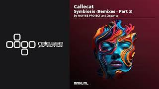 PREMIERE: Callecat & Paul Hazendonk - State Of Mind (Noiyse Project Remix) [Manual Music]