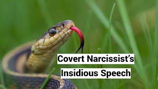 Covert Narcissist’s Insidious Speech