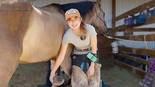 Learning How to Trim My Horses Hooves ft. Lester