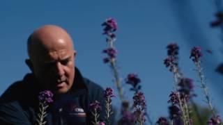 The Head Gardener at Áras an Uachtaráin on his dream job