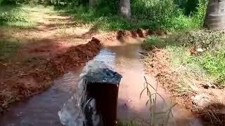 Near bellavi tumkur taluk