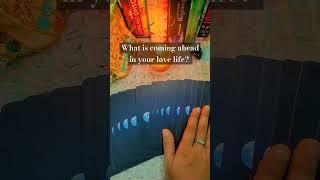 what is coming next in your love life? #tarot #tarotcards #tarotreading #lovereading