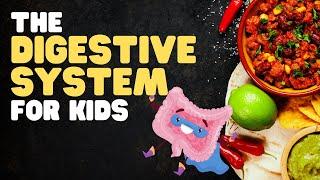 The Digestive System for Kids | A fun engaging overview of what happens when we eat!