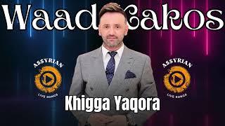 Waad Kakos - Khigga Yaqora (Assyrian Live Songs) | 2024