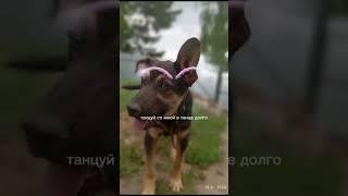 #анаконда# дорогие набор всё ещё открыт не упускайте свой шанс попасть к нам всех очень сильно ждём