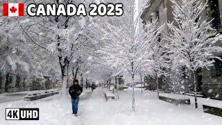  【4K】️️️ HEAVY SNOWFALL in Canada!!! Downtown Vancouver BC, Canada. February 2025.