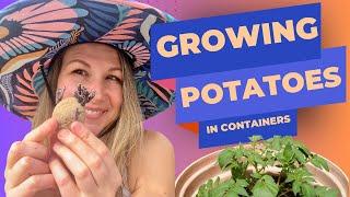 Ultimate Guide to Growing Potatoes in Containers  | Container Gardening Tips