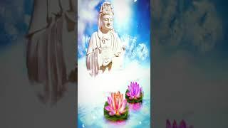 #南無觀世音菩薩 #南無 #佛教 #buddha #best  #practice #prayer #peace
