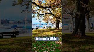 Discover Zürich's Autumn Charm