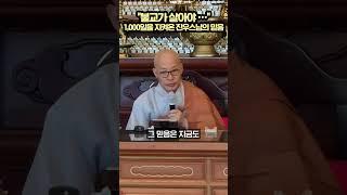"청년들이 다시 수행의 길을 사명으로 여길 수 있도록 최선을 다하겠다" 총무원장 진우스님의 취임 1000일 인삿말 #진우스님 #대한불교조계종