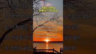 인생을 살면서 알게 되는 것 7가지 #삶의지혜 #감동글 #좋은글 #행복 #인사이트