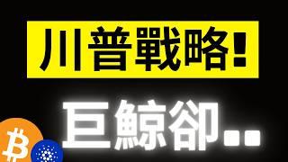 比特幣爆力拉漲1萬美金! 川普的Crypto戰略儲備即將引爆大牛市! 但大鯨魚卻又開始不對勁了!? ADA 0.9很關鍵! #eth #ada