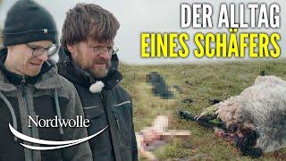 Das traurige Drama beim Schäfer!