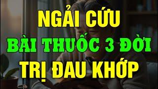 Chỉ Với Một Bát Ngải Cứu Mỗi Tối, Khớp Gối Hết Đau Gan Sạch Ngủ Thật Ngon!
