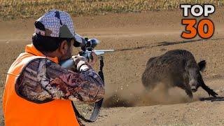 DANGEROUS GIANT BOARS: TOP 30 WILD BOAR SHOTS, MOST EXCITED HUNTING SCENES!