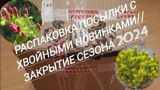 180.#Распаковка посылки с хвойными новинками//Закрытие сезона 2024️️️