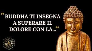 BREVE STORIA ZEN SULLA VERITA' DEL DOLORE  E DELLE EMOZIONI