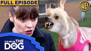 Episode 1 | It's Me or The Dog UK @ItsMeortheDog  | Warner Bros. TV