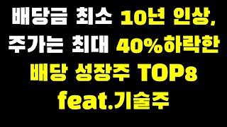 배당금 최소 10년 연속 인상, 주가는 최대 40%하락한 배당성장 기술주 8개