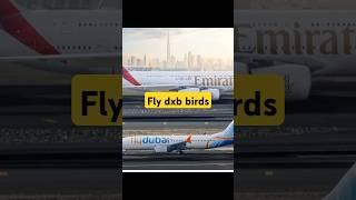 Making Dubai proud#emirates #flydubai #Shorts