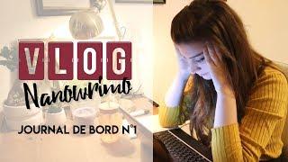 J'écris mon roman en un mois ! Nanowrimo vlog