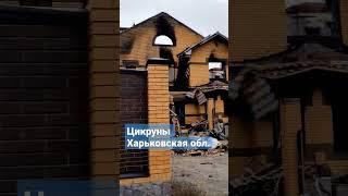 циркуны / Харьков 2023 #харьков #ukraine #shorts #russia #украина