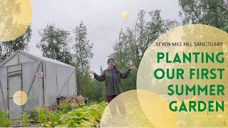 Planting Our First Summer Garden Seven Mile Hill Sanctuary Alaskan Frontier Journey